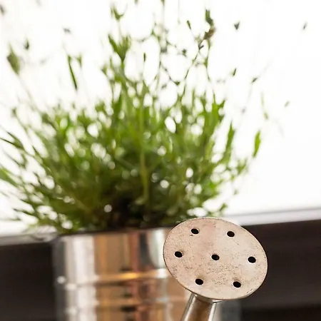 Auretta Apartamento *